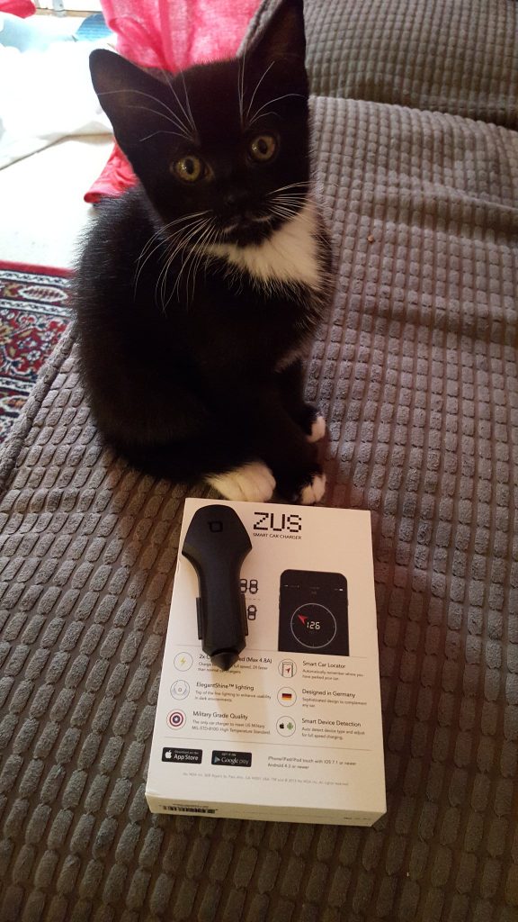 Vader the kitten loving the Zus Smart Car Charger!